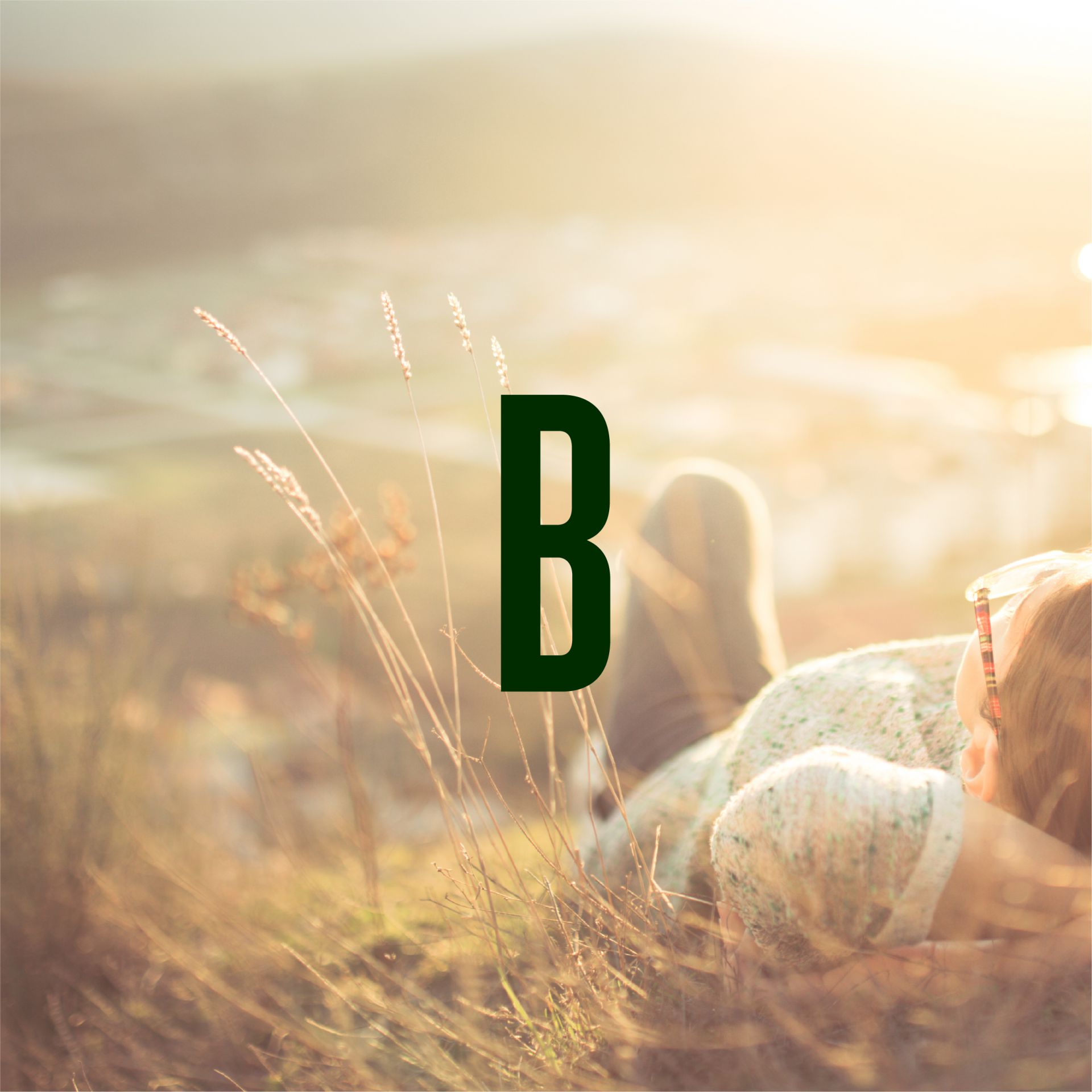 Perron9_Bruisterbosch_03