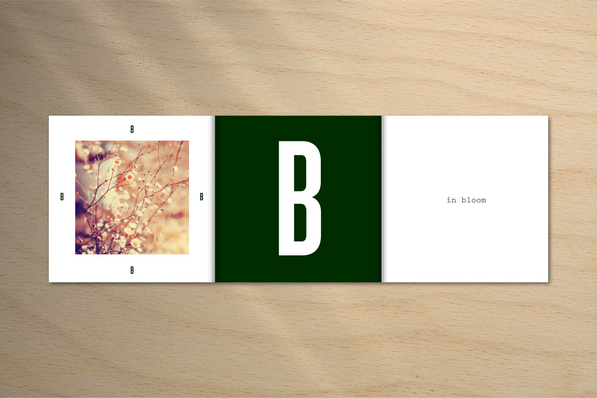 Perron9_Bruisterbosch_10