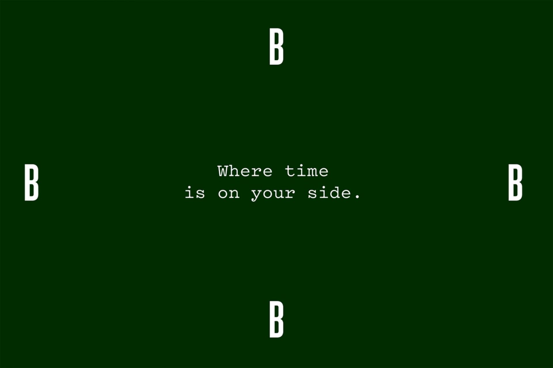 Bruisterbosch_02_SU_P9