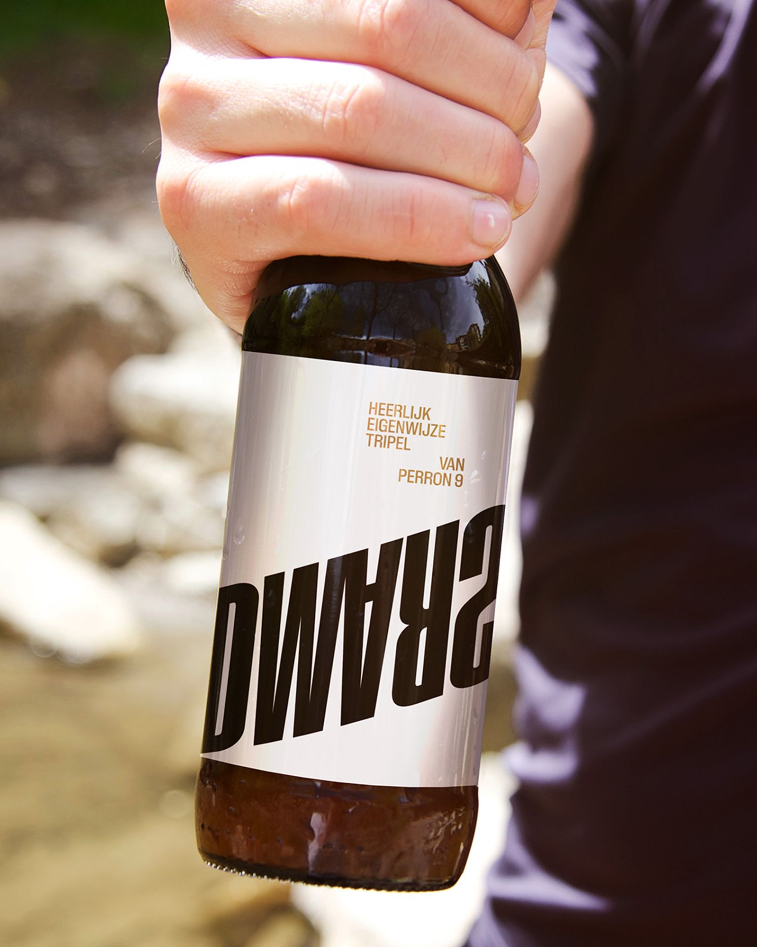 Dwarsligger_01