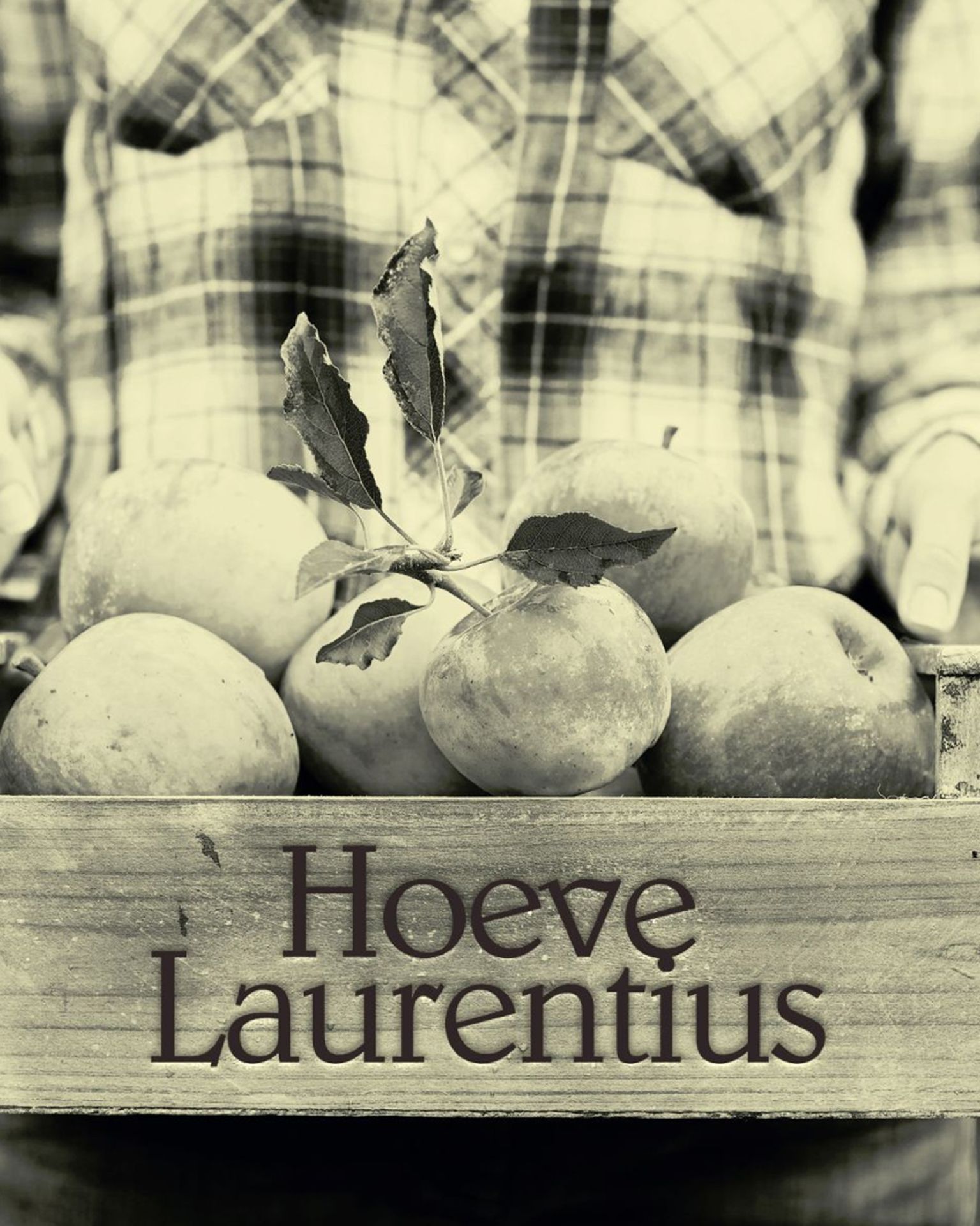 Perron9_Laurentius_00