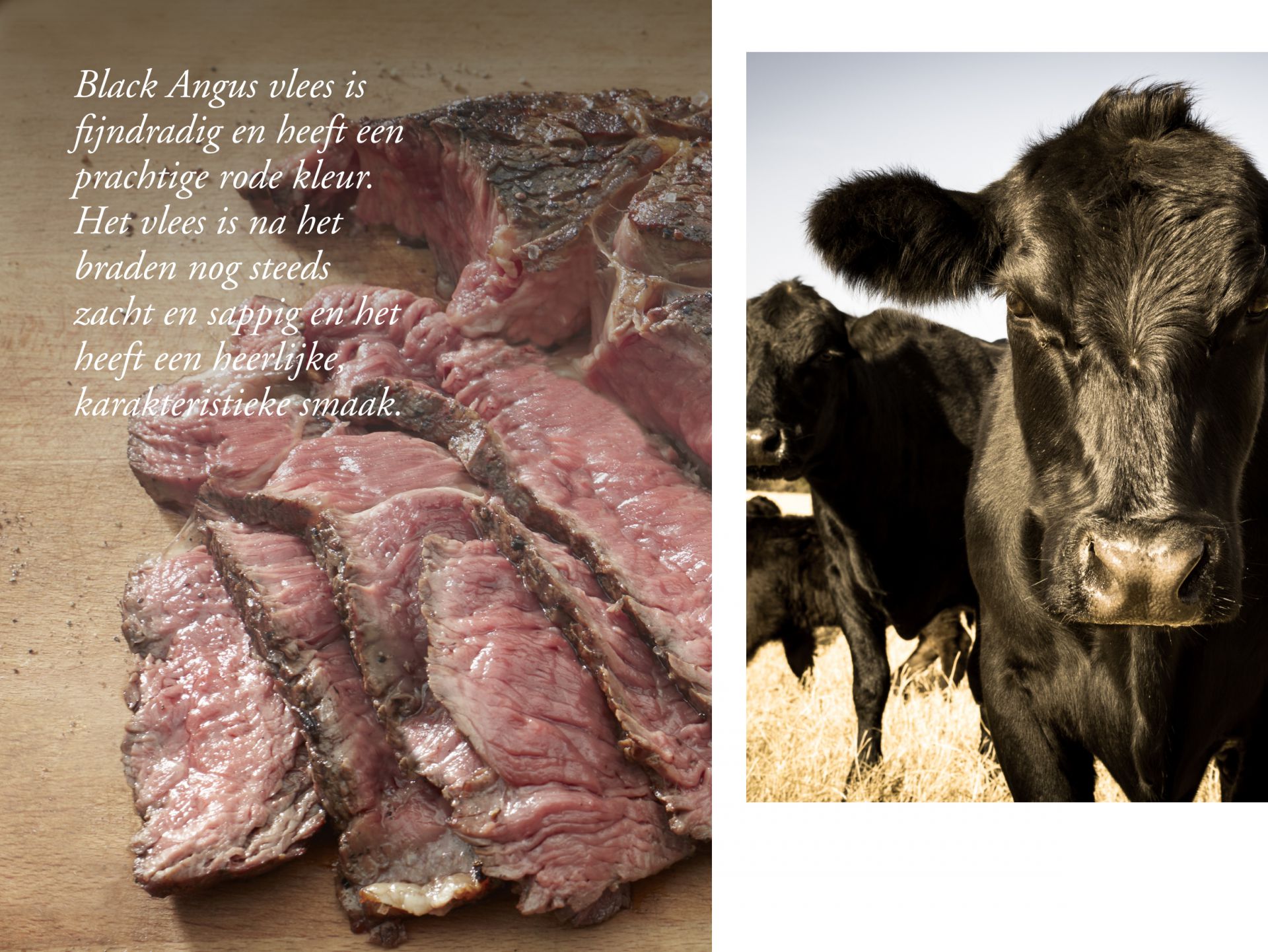 JB_p9website_BlackAngus_12x