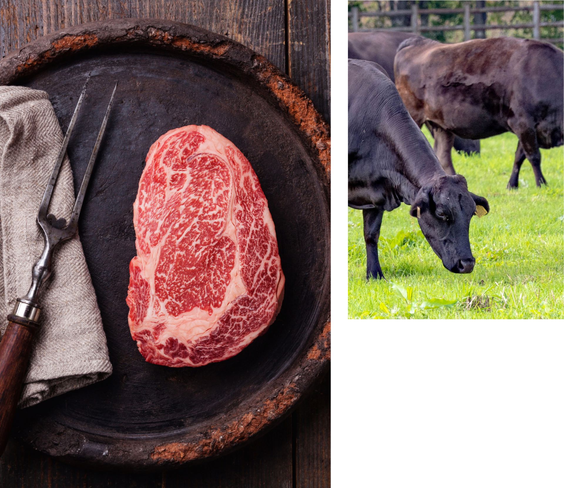 JB_p9website_Wagyu_12x